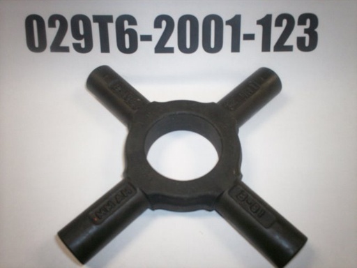 029T6-2001-123