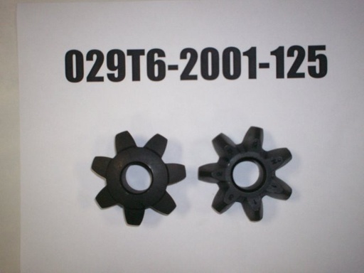029T6-2001-125