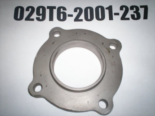 029T6-2001-237
