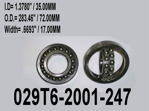 029T6-2001-247