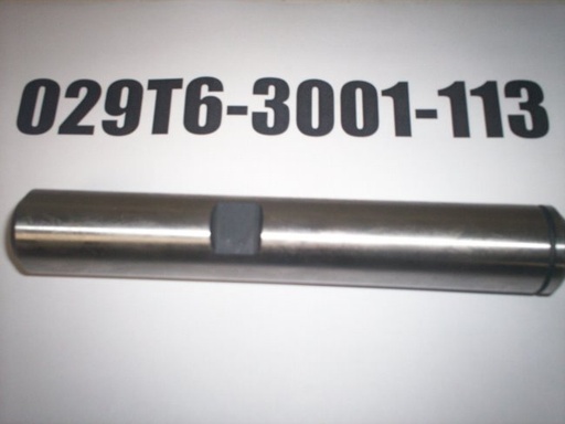 029T6-3001-113