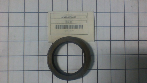 029T6-3001-155
