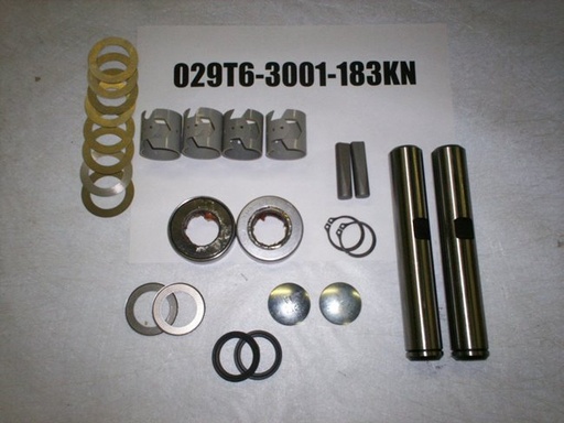 029T6-3001-183KN