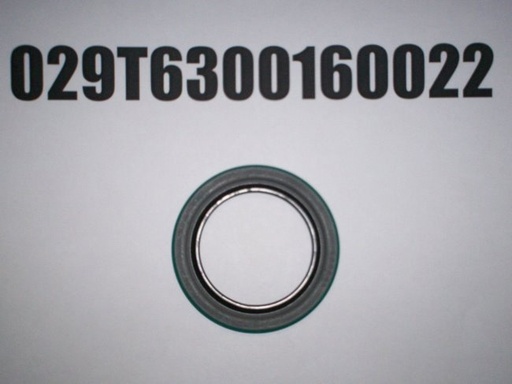 029T6300160022