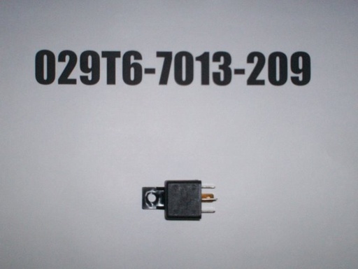 029T6-7013-209