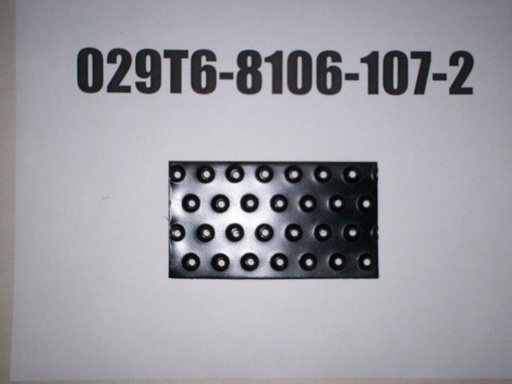 029T6-8106-107-2