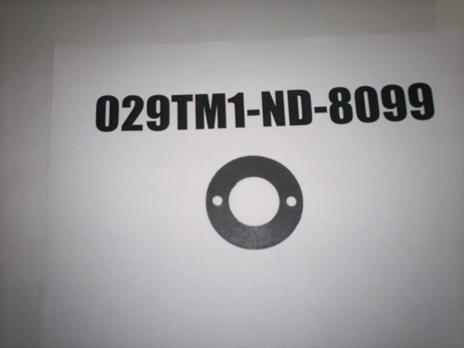 029TM1-ND-8099