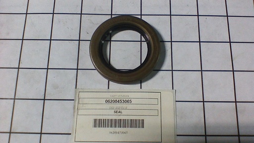06200453065