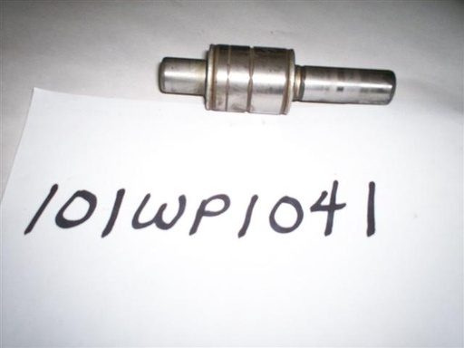 101WP1041