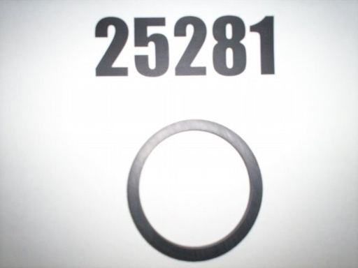 25281