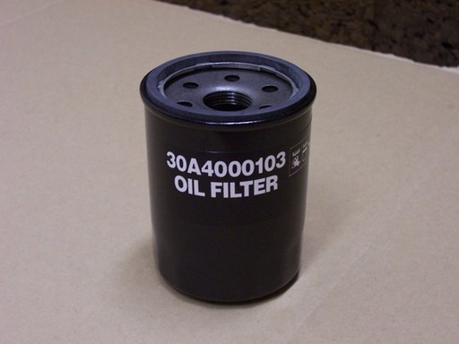 [Filter, Oil] 30A4000103