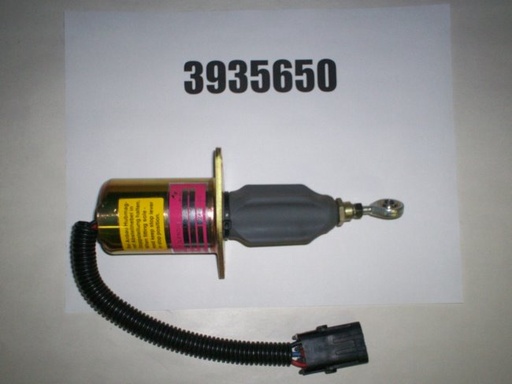 3935650