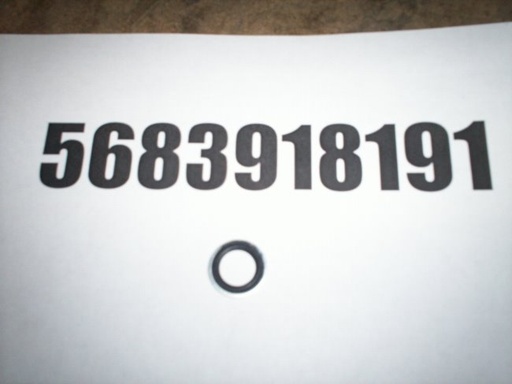 5683918191