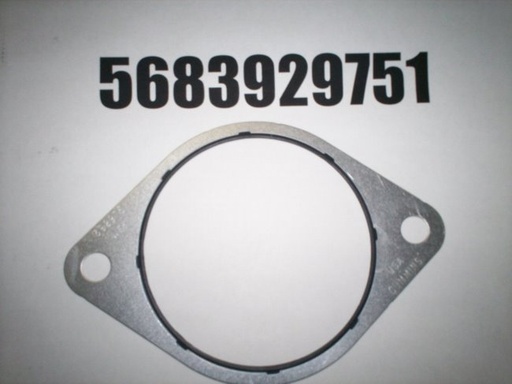 [Gasket, Vacuum Pump 3.9L] 5683929751
