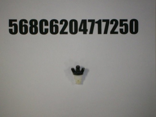 568C6204717250